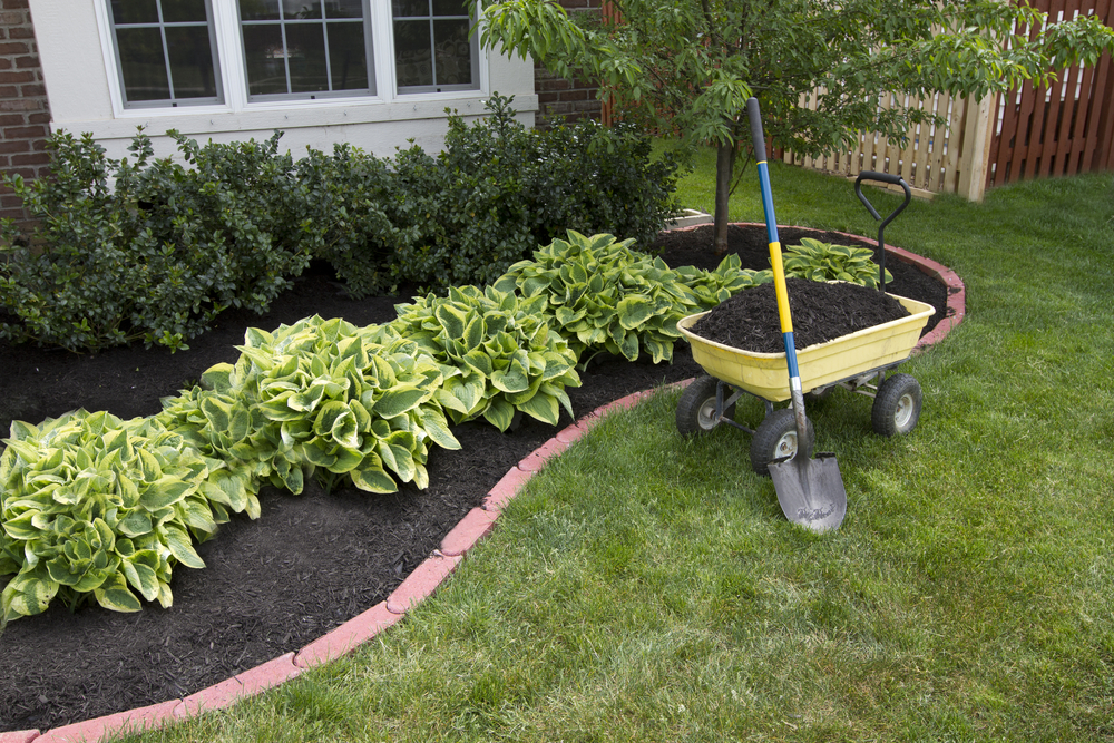 dark mulch on house foundation siding with a barrel of mulch and a shovel