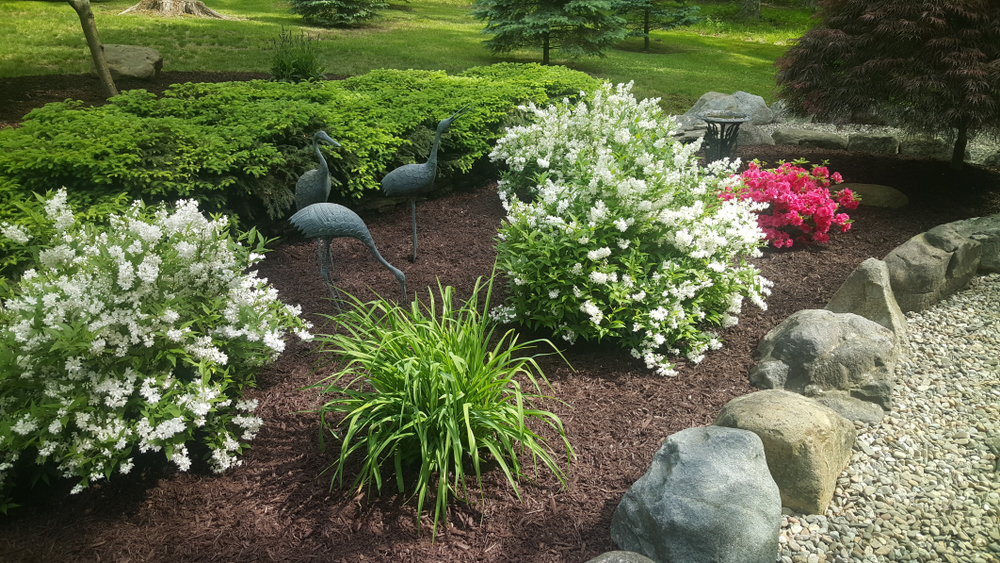 flower garden with dark mulch and flowers