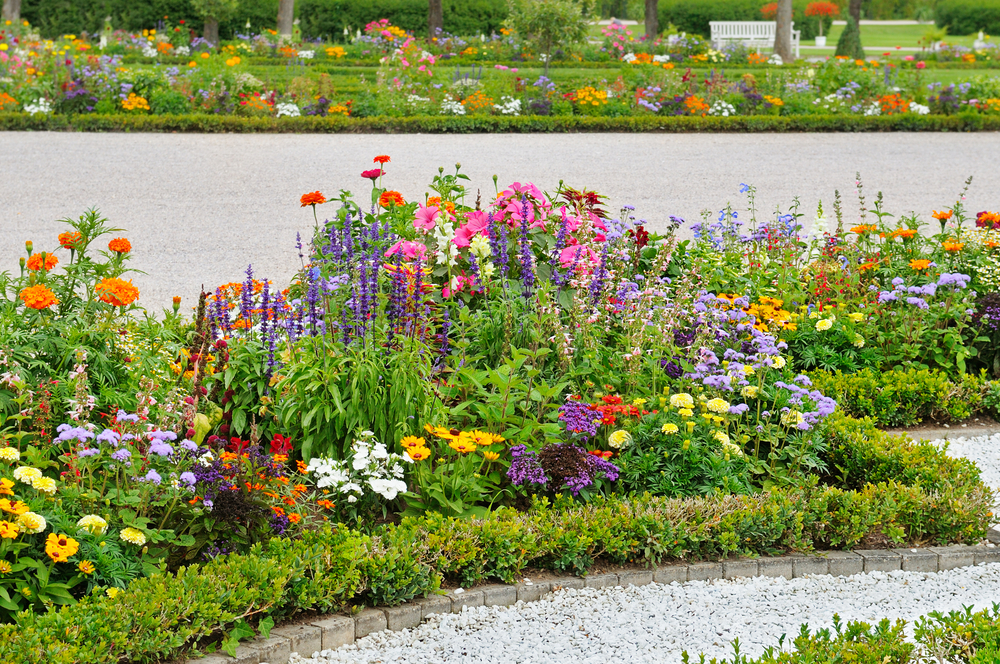 landscape bed with various colorful flowers near walkway
