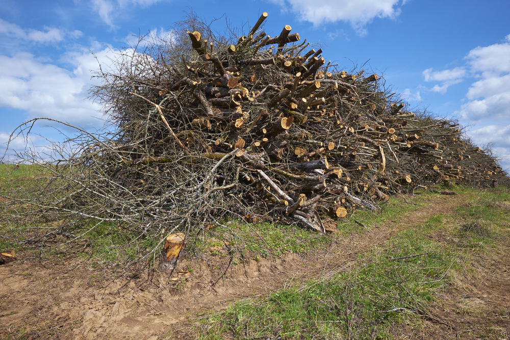 Brush removal lawn care