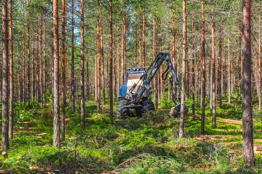 excavator removing tree in forestt