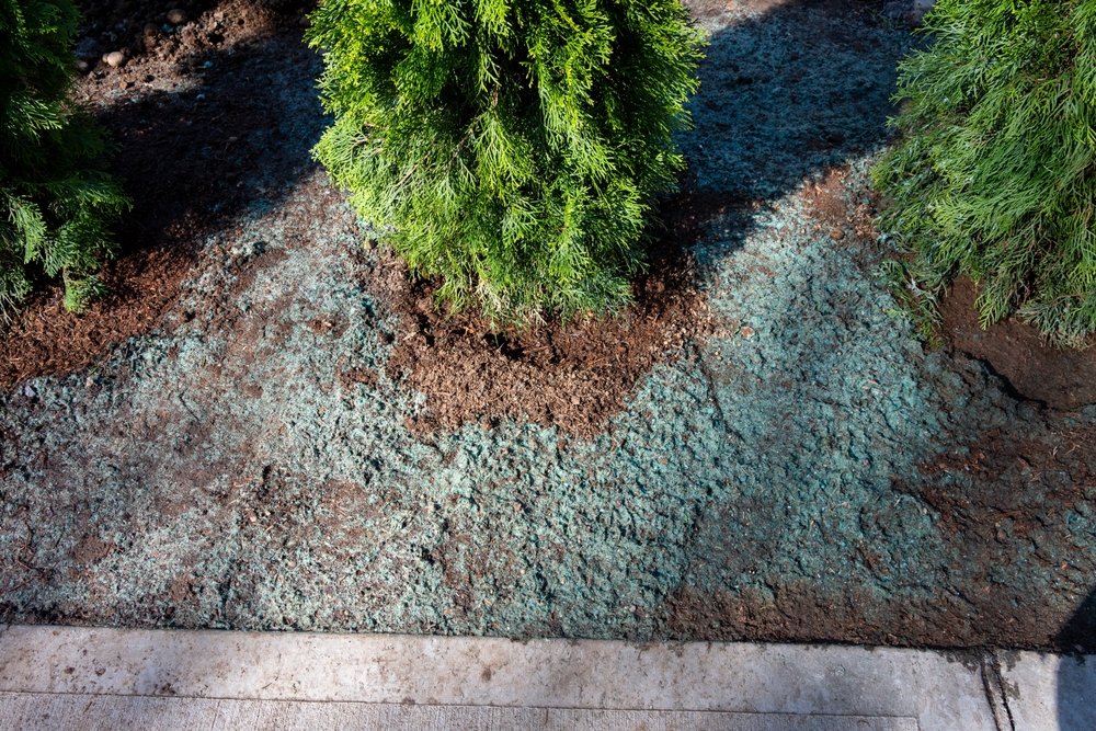 hydroseeding across soil and near trees