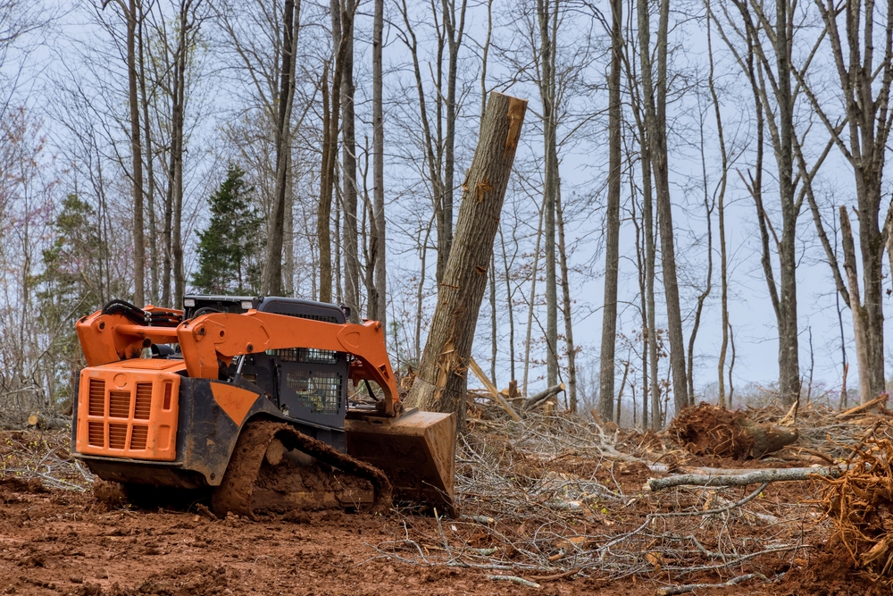 land clearing done by skidsteer