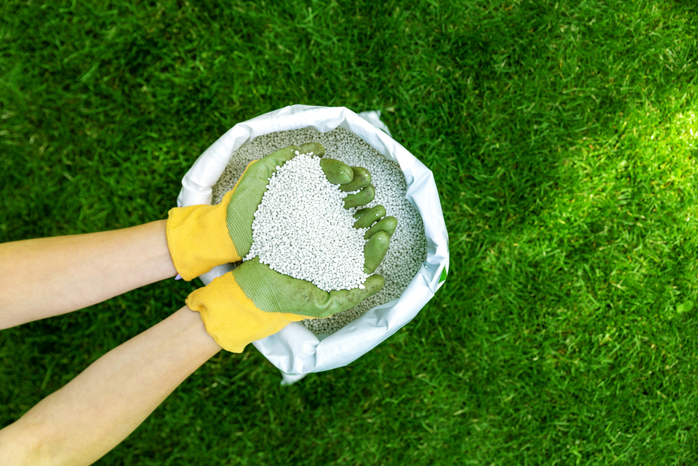 Landscaper with green and yellow gloves holding fertilizer over green lawn