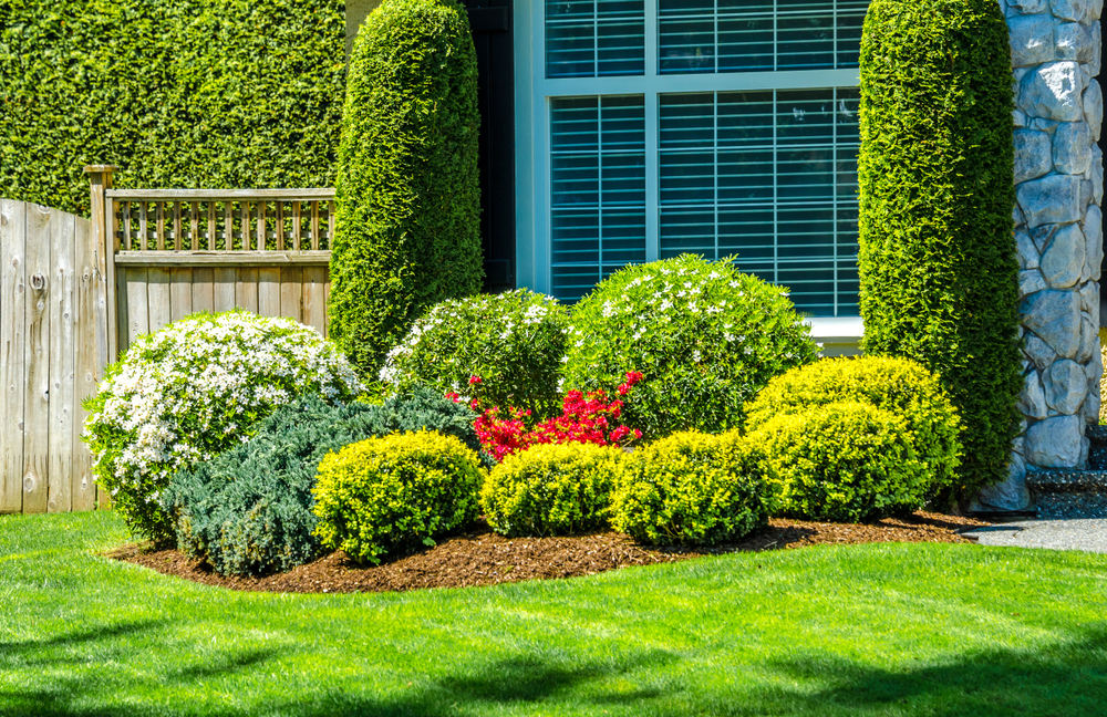 Bushes nicely trimmed with flowers outside of house with stones