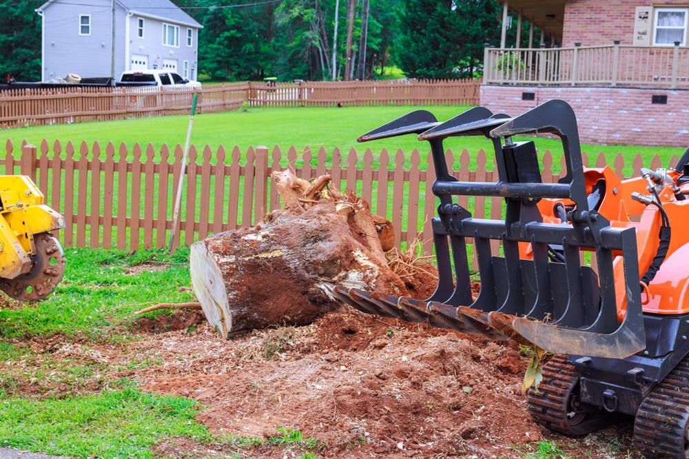 Tree stump removal activity occurs in yard with equipment positioned on fresh soil during works day.