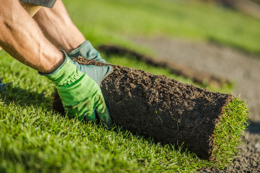 A person in green gloves carefully installs fresh sod in a garden area, enhancing the lawn’s appearance during sunny weather.