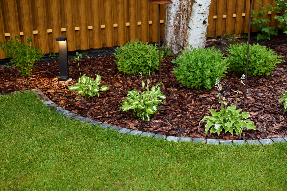 beautifully designed garden with lovely mulch and captivating outdoor lighting