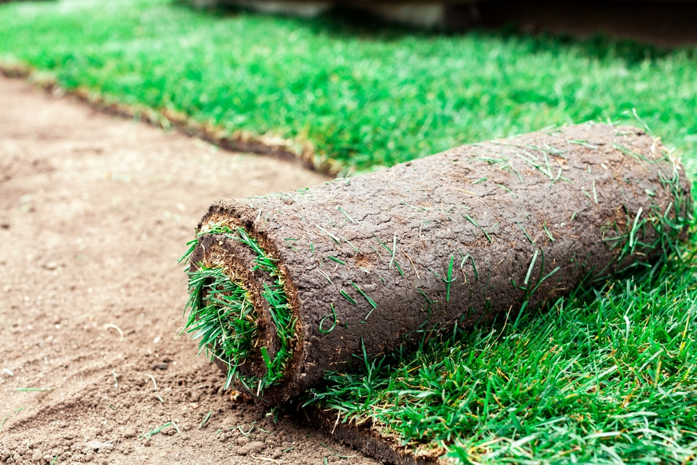 Tree stump removal activity occurs in yard with equipment positioned on fresh soil during works day.
