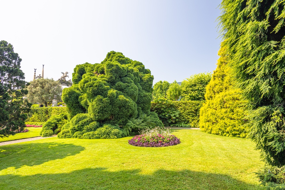 Beautiful lawn and garden in the spring