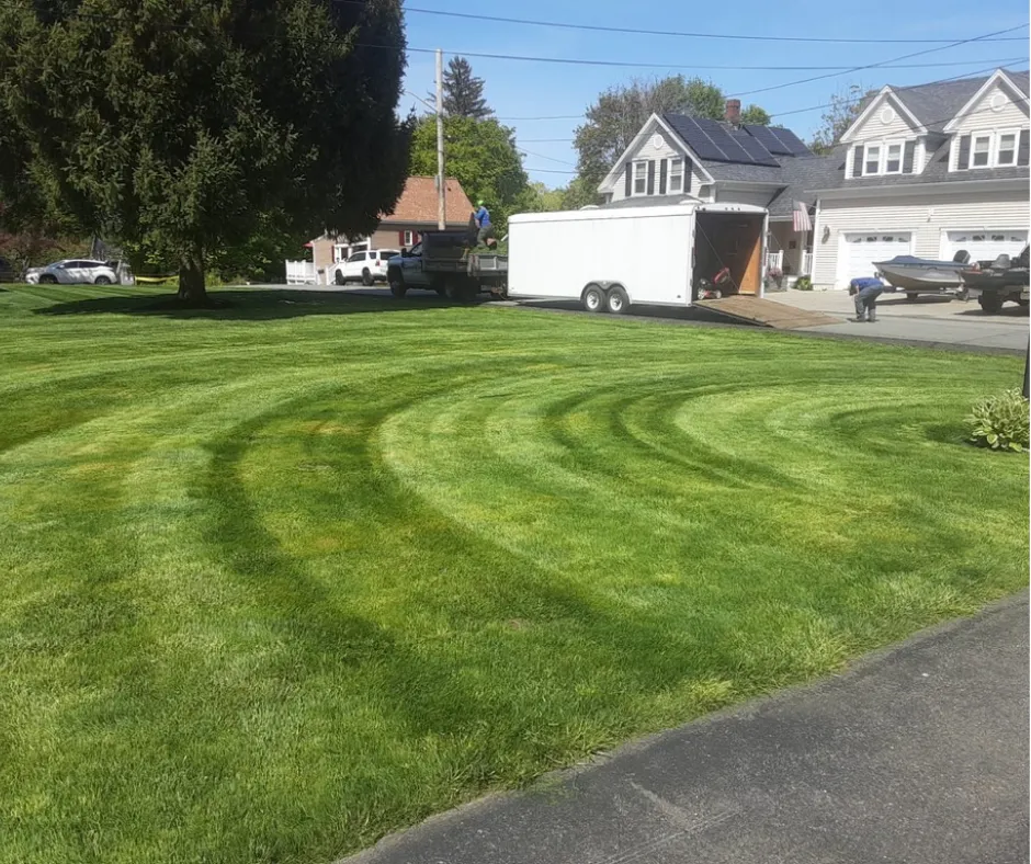 Freshly cut lawn in New Hampshire