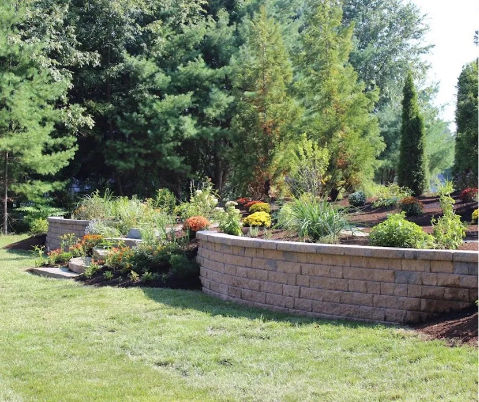 Decorative walls with plants in backard