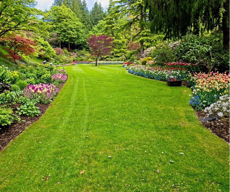 Beautiful garden with various colored flowers