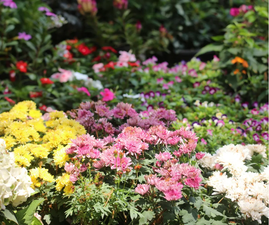 decorative garden beds