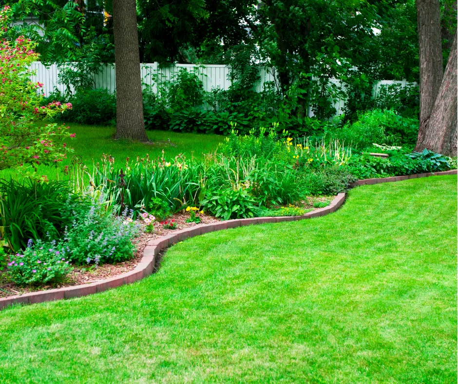 Landscape Renovations