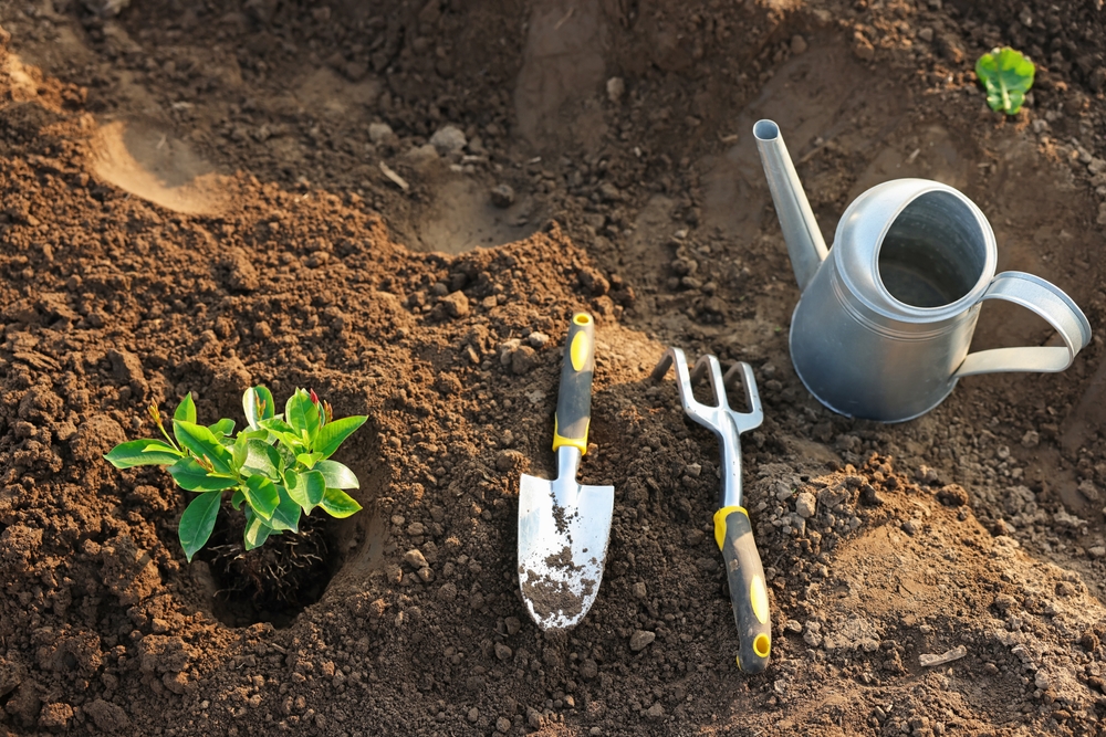 Planting and gardening on soil with tools