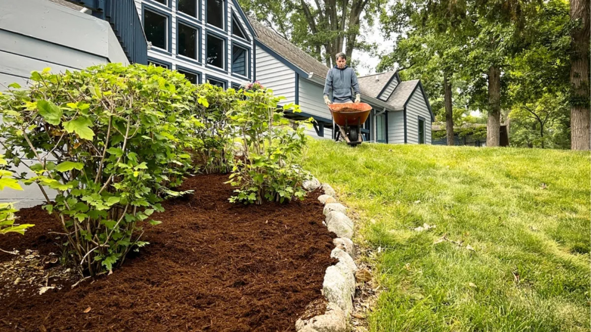 Mulch next to plants on front lawn with man holding a wheel barrel of mulch