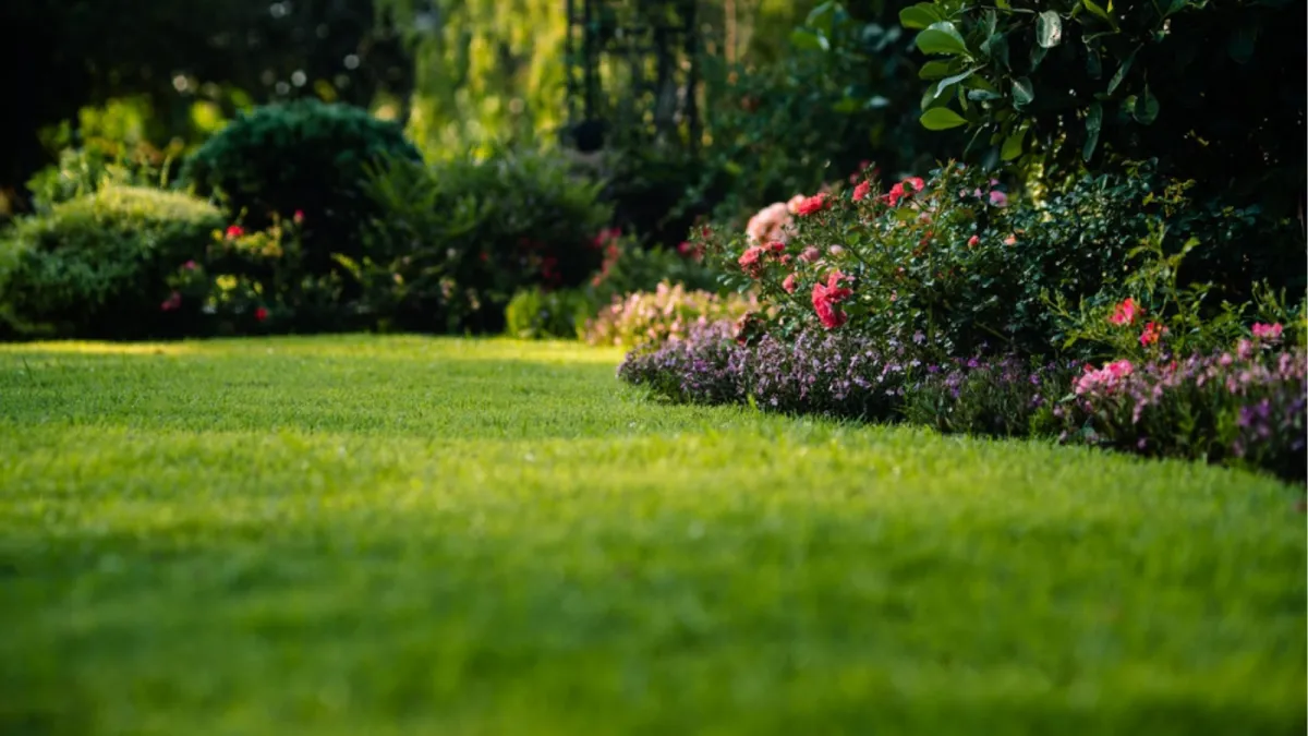 Beautiful lawn with colorful flowers and plants