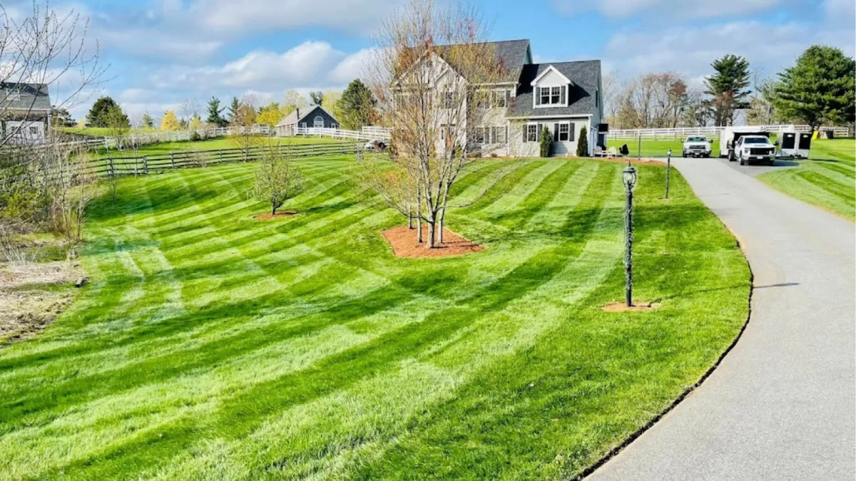 Freshly cut front lawn on suburban home