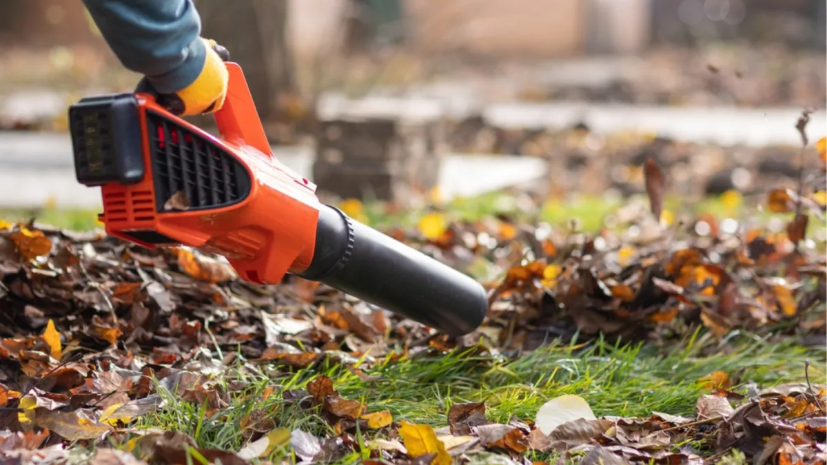 Leaf blowing lawn
