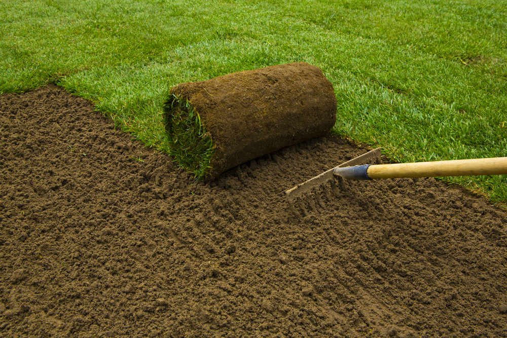 Hydroseeding vs Sod: Which Is Right for Your New Lawn?