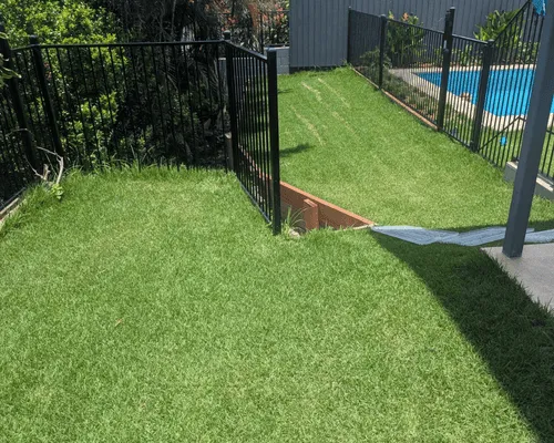 Turf Installation in Manly Area