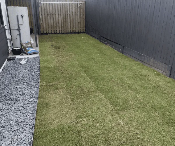 Turf Installation