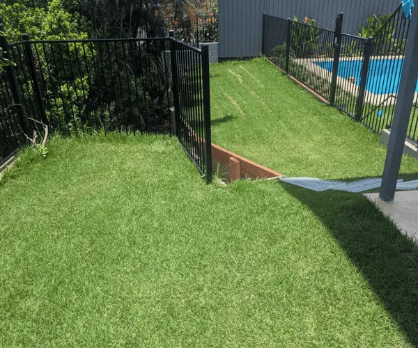 Manly Area