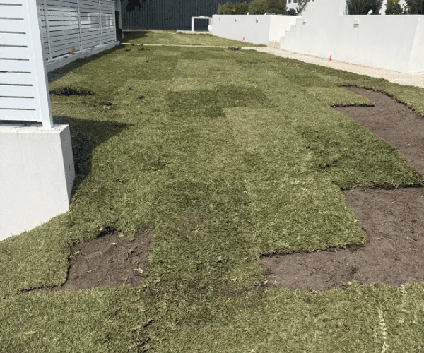 Turf Installation