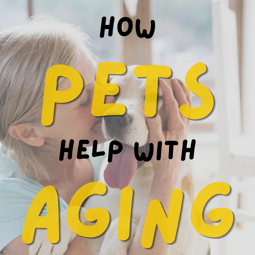 How Pets Help With Aging