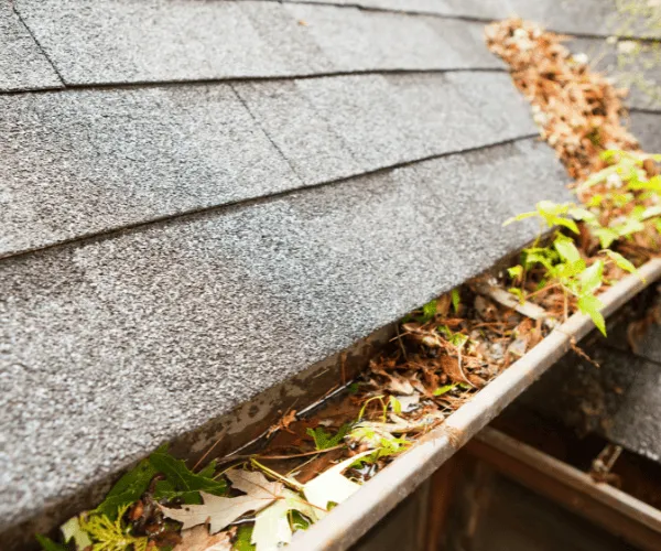 Marcoola Gutter Cleaning