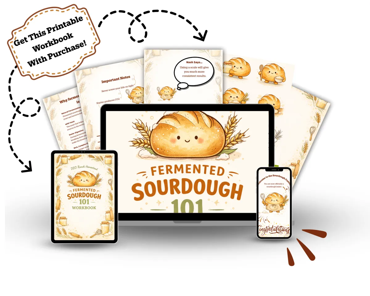 a mock up of the sourdough workshop workbook. A cute little sourdouh loaf is the mascot