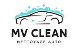 Automotive Detailing Copy
