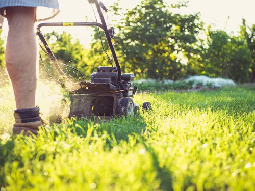  Lawn Care