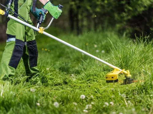 Montgomery County Lawn Care