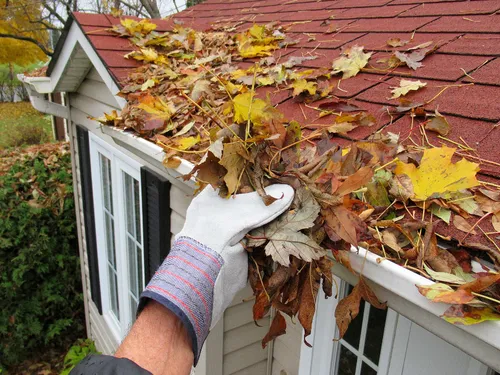 Montgomery County Fall Maintenance