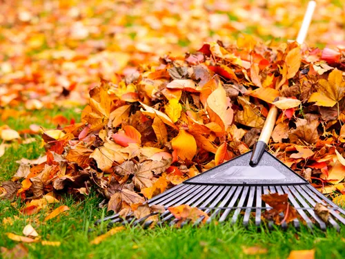  Lawn Care