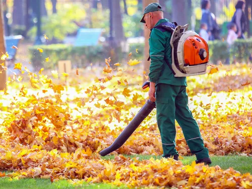  Lawn Care