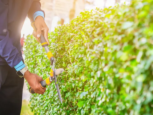  Lawn Care