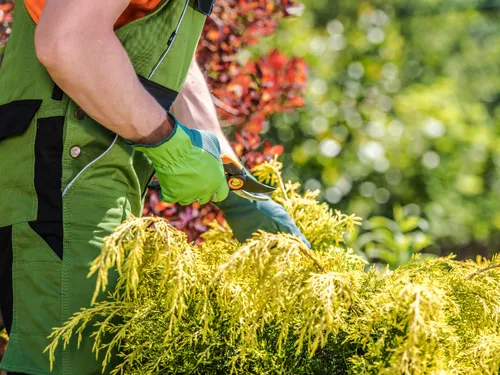 Montgomery County Spring Maintenance