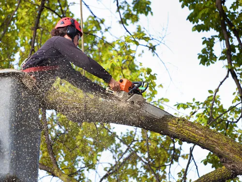 Telford Fall Maintenance