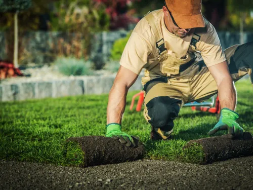Hatfield Fall Maintenance