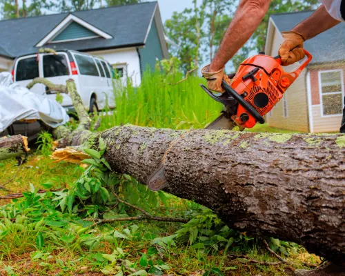 Lawn Care Sellersville