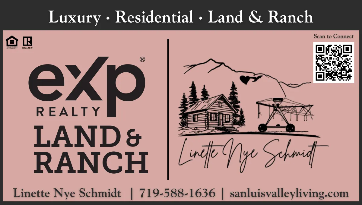 Linette Nye Schmidt, brokered by eXp Realty