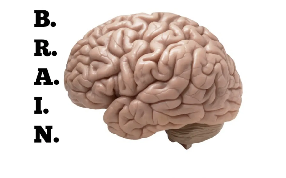 Using the BRAIN Acronym in Pregnancy