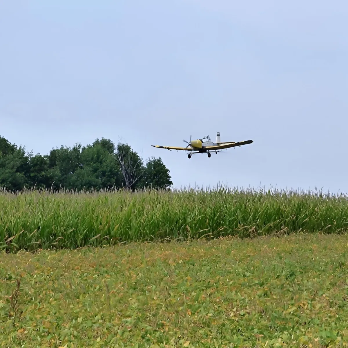 Agricultural airplane spraying crops over farmland for large scale crop protection