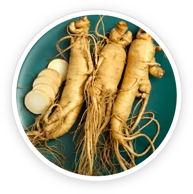 Ginseng