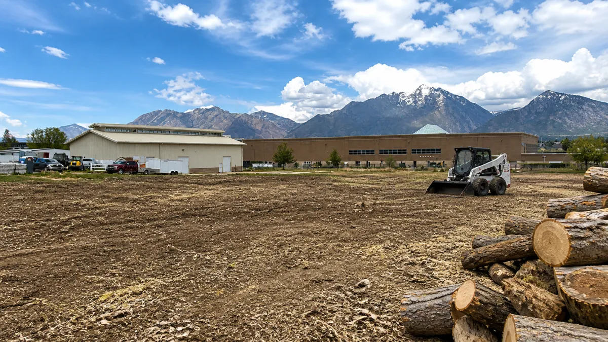 Lot Clearing