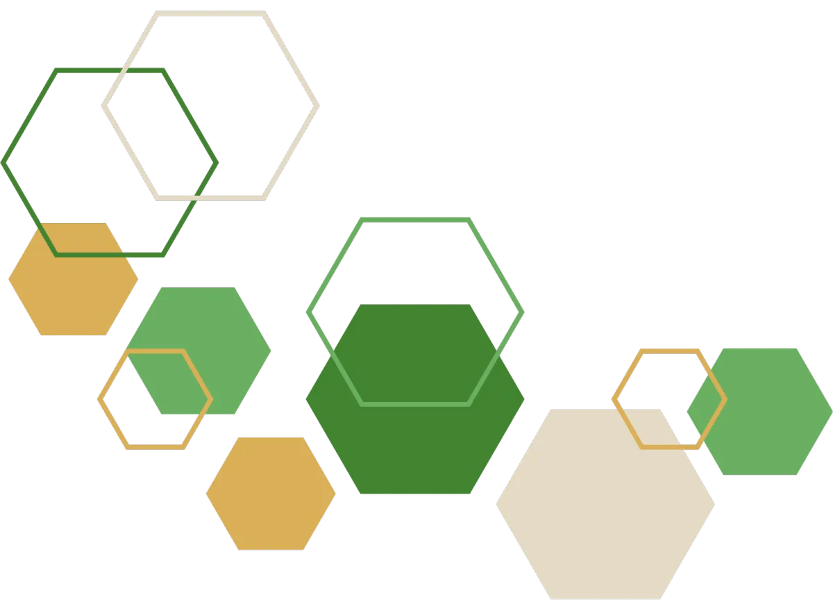 hexagon shapes