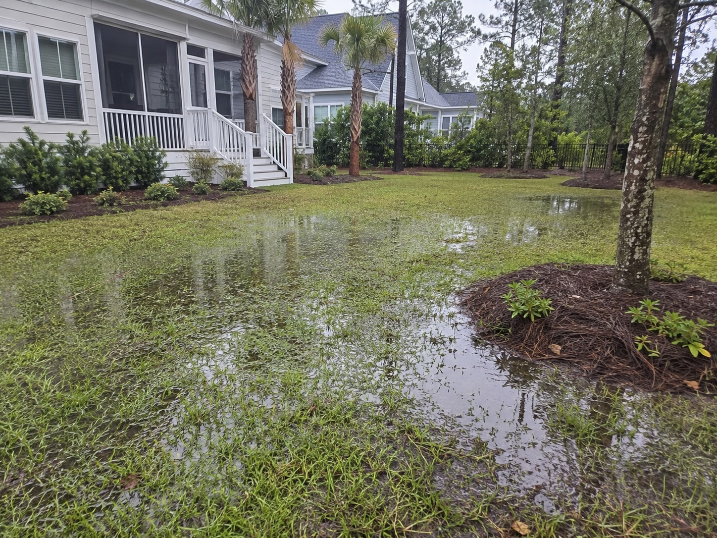Why Your Summerville Yard Holds Water After Heavy Rain, And What to Do About It